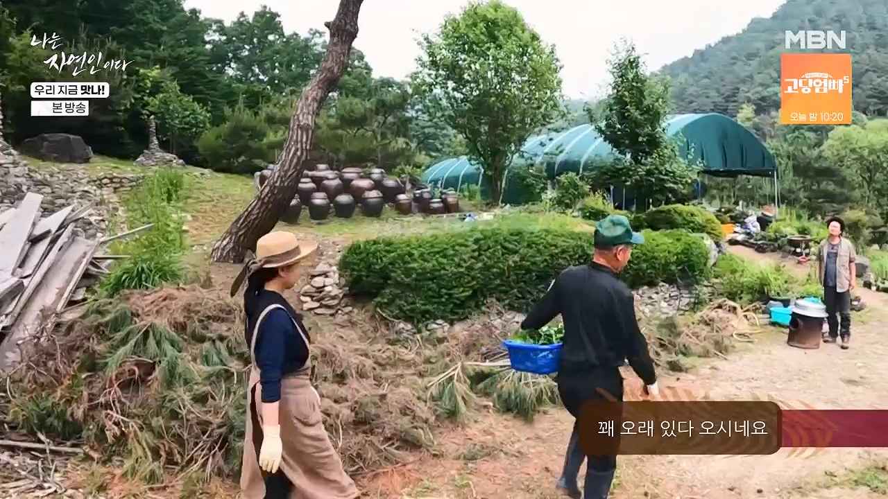 나는 자연인이다.E609.240613p-NEXT.mp4_20240613_195120.004.jpg