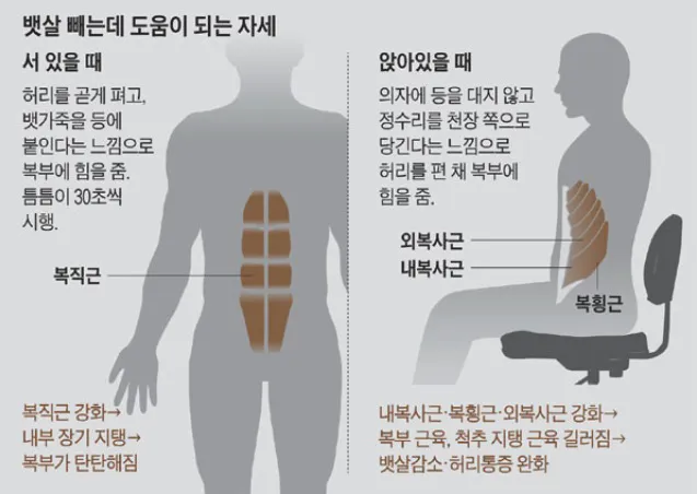 복부비만 없애는 처방 4가지