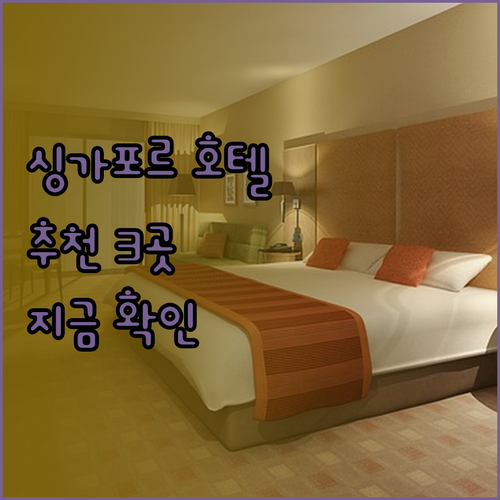 싱가포르 호텔 추천 3곳 Park A