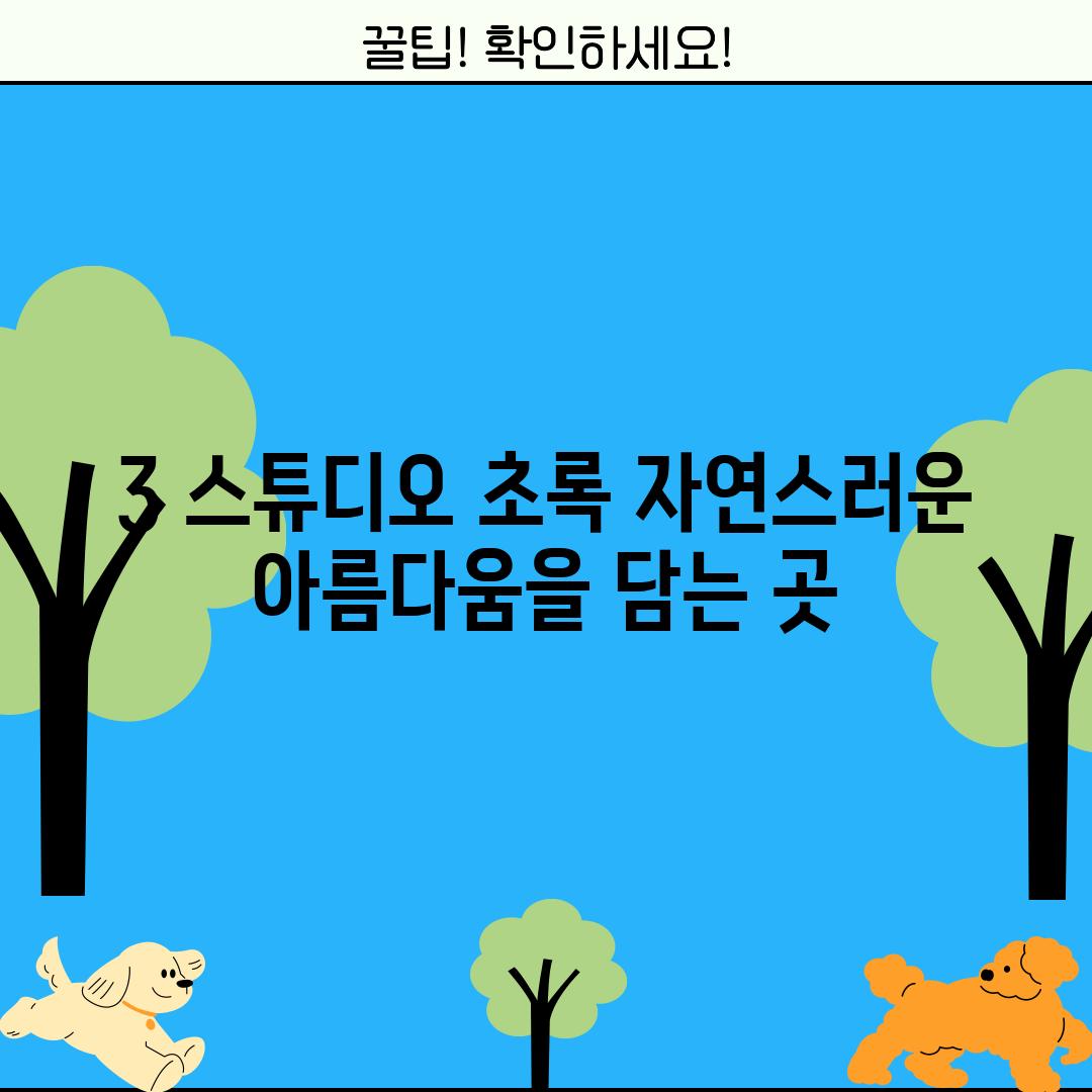 3. 스튜디오 초록: 자연스러운 아름다움을 담는 곳