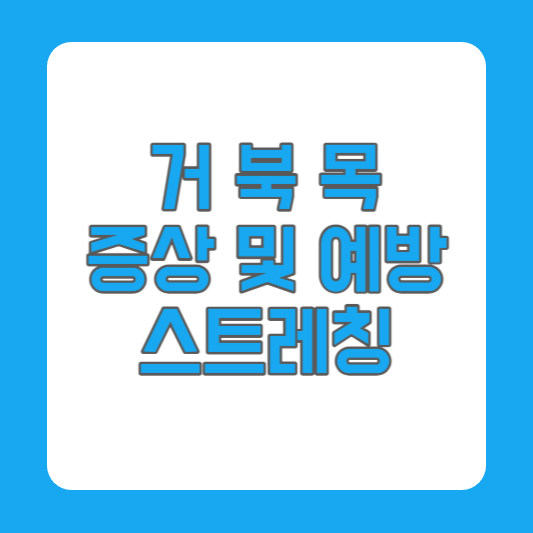 거북목 일자목 증상 예방 자세교정 스트레칭