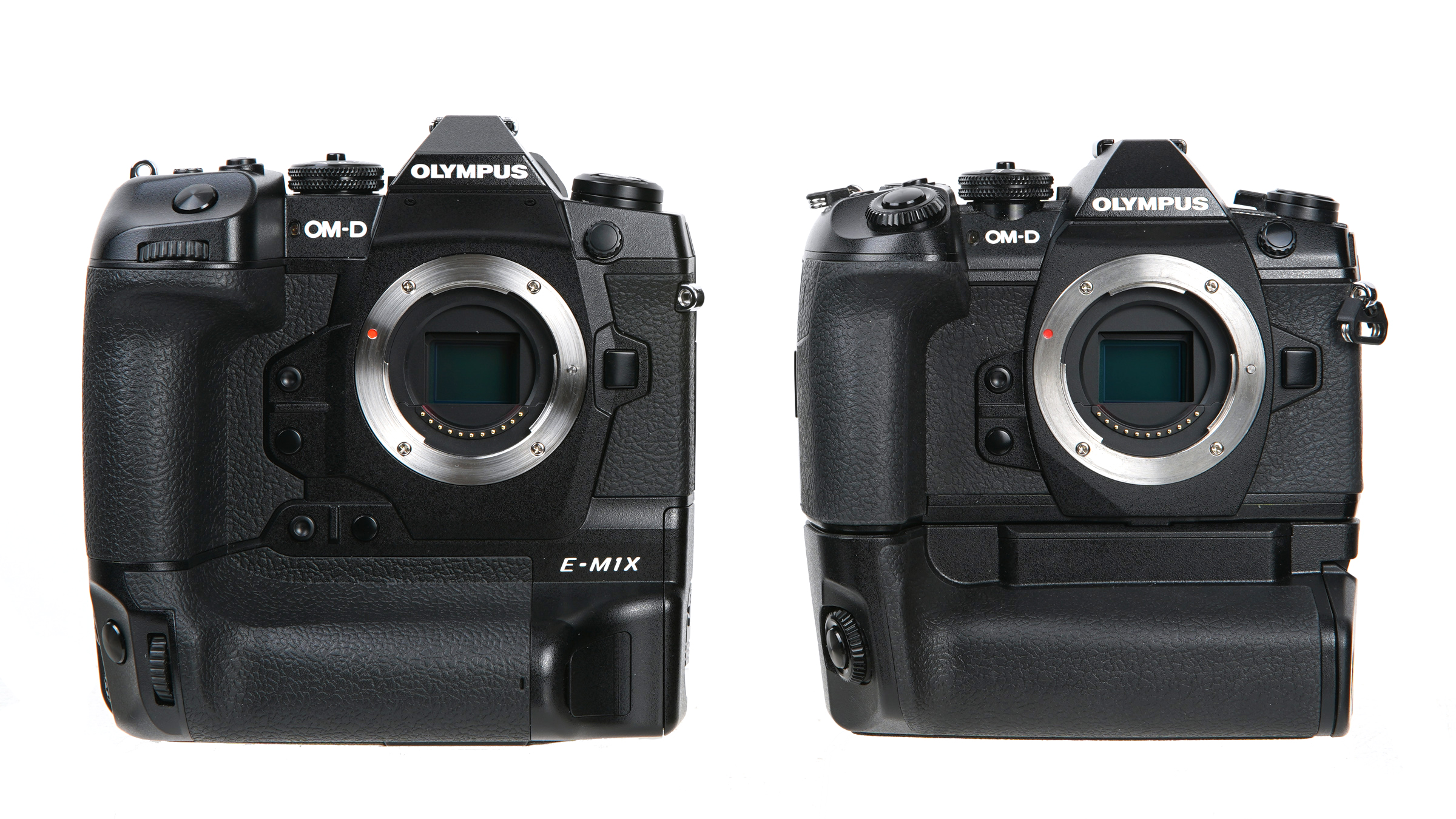 올림푸스 미러리스 카메라 E-M1X 첫인상 (디자인 & 크기 비교)