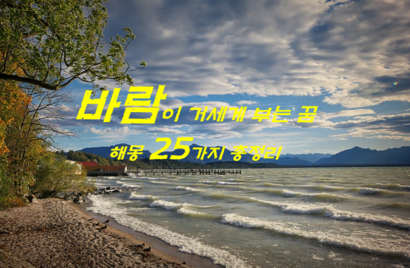  바람이 거세게 부는 꿈 해몽 25가지 총정리