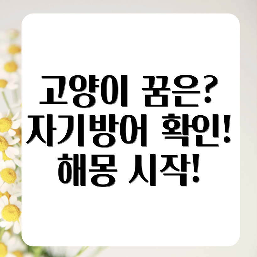 고양이꿈 심리분석