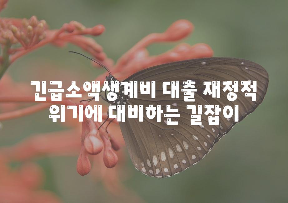 긴급소액생계비 대출 금전적 위기에 대비하는 길잡이