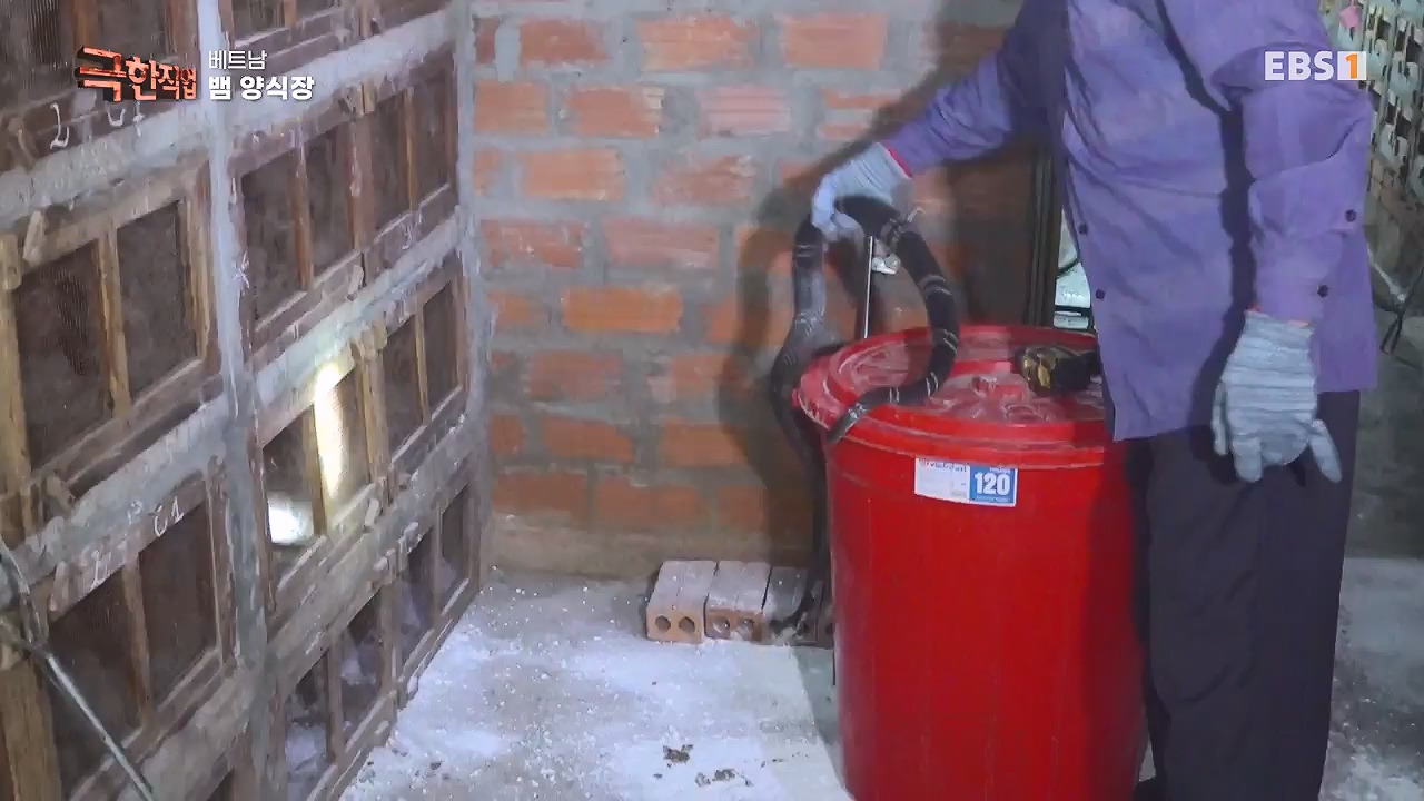 TV - 전 국민의 평생학교 EBS베트남 뱀 마을 사람들.mp4_20240615_170534.181.jpg