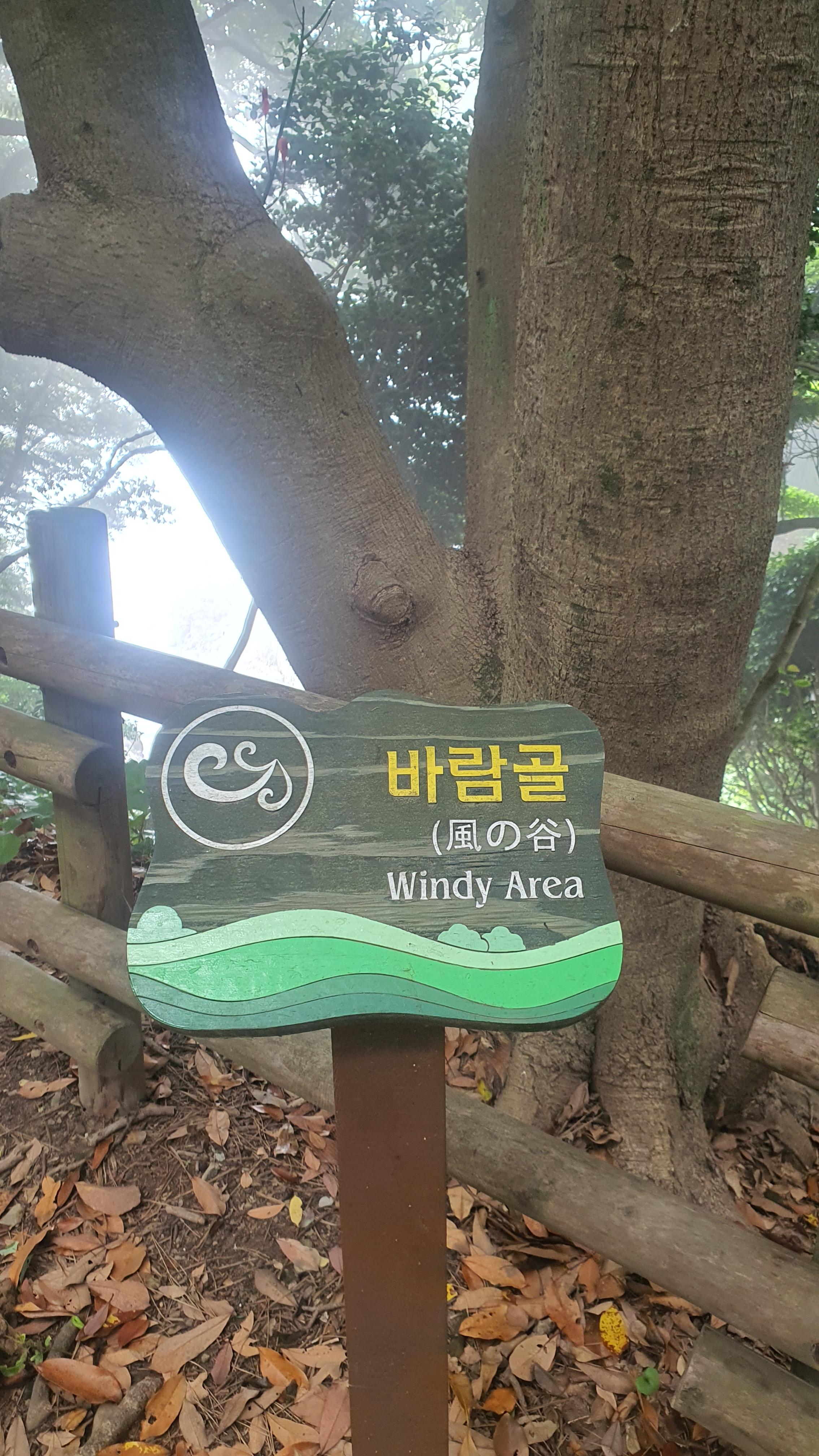 동백섬으로 유명한 여수 오동도