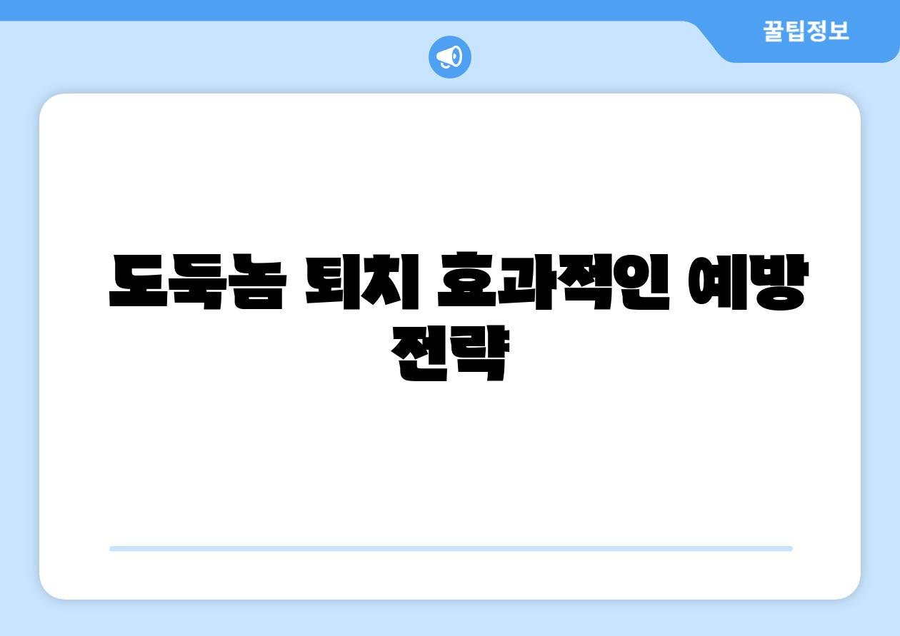  도둑놈 퇴치 효과적인 예방 전략