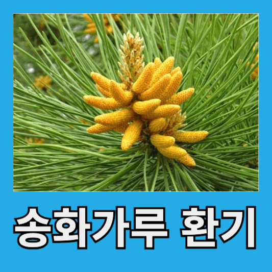 송화가루 환기방법