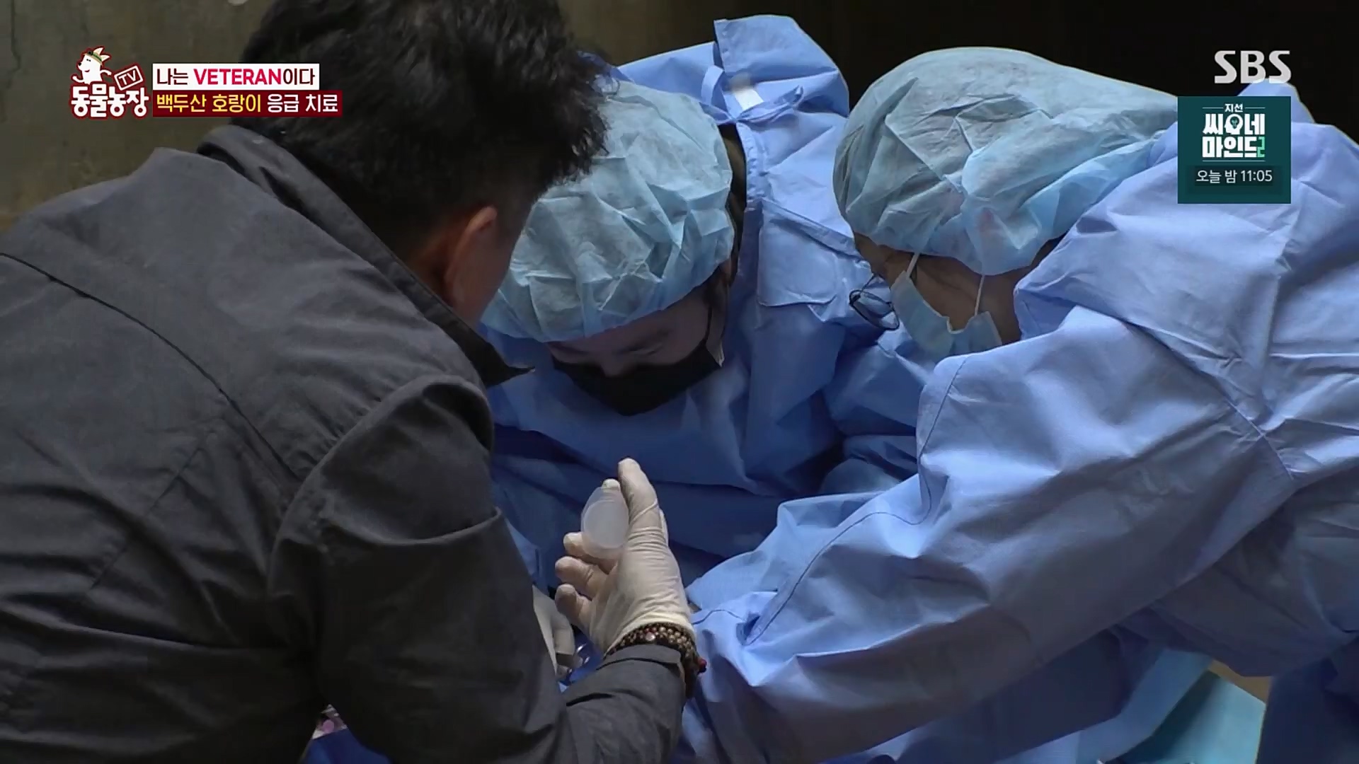TV 동물농장.E1115.230409p.H264-F1RST.mp4_20230409_173042.884.jpg