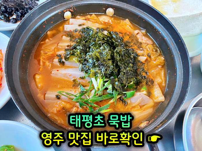 6시 내고향 경북 영주 메밀묵 돼지고기 얼큰 양념 찌개 태평초 맛집