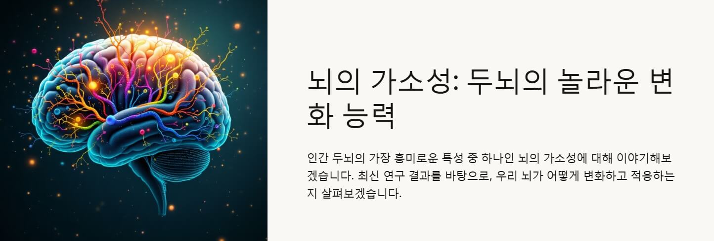 뇌의 가소성