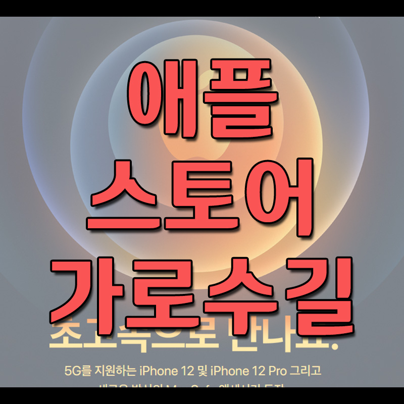  애플스토어 가로수길