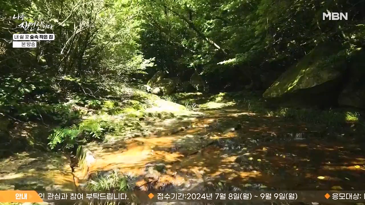 나는 자연인이다.E613.240711p-NEXT.mp4_20240711_195253.263.jpg