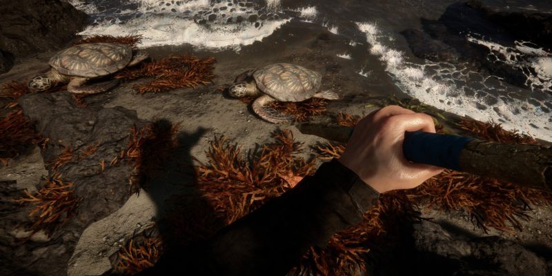  Sons of the Forest는 2022년으로 연기되었지만 2월 출시 날짜와 가격이 정해져 있습니다.