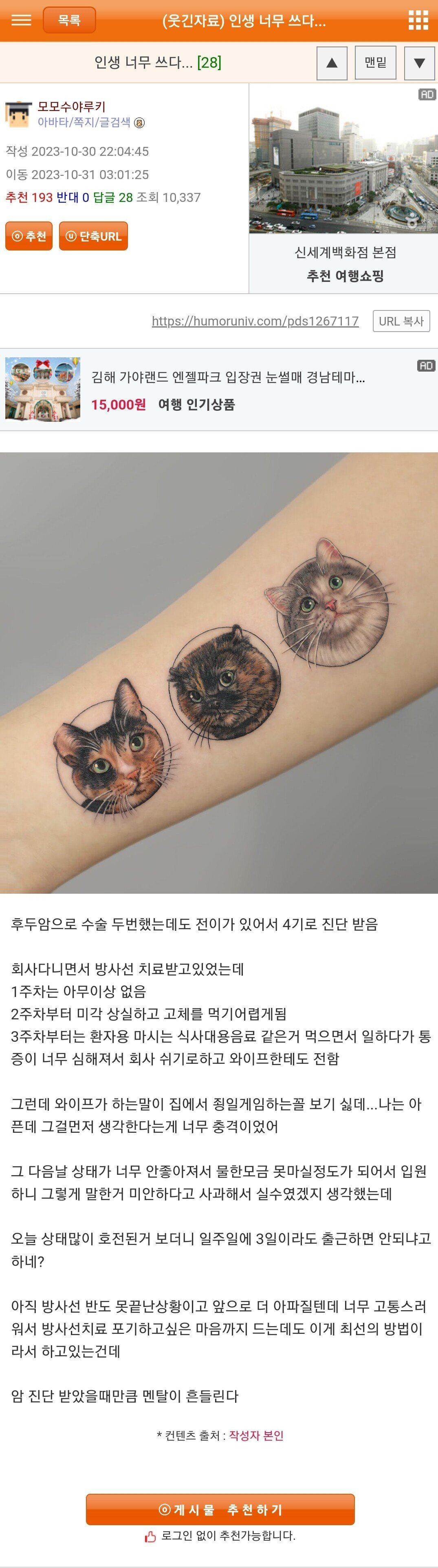 현재 커뮤니티에서 논란인 와이프