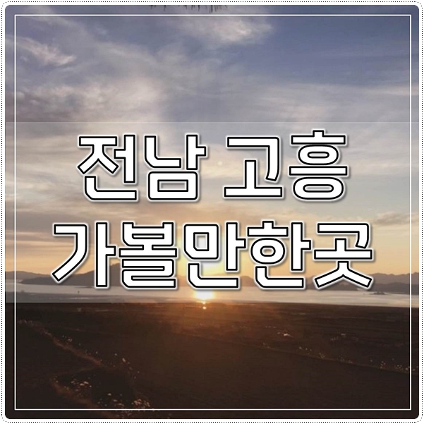  전남 고흥 가볼만한곳 베스트7(광고아님)