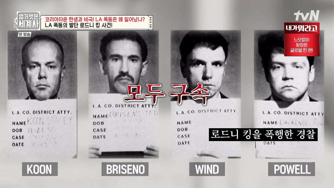 벌거벗은 세계사.E127.231129p-NEXT.mp4_20240608_170052.149.jpg