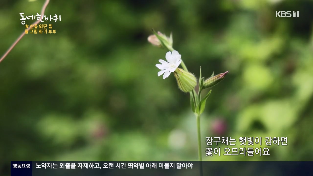 동네 한 바퀴.E234.230806p-NEXT.mp4_20230810_211403.972.jpg