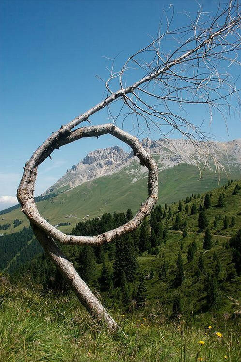 img.jpg