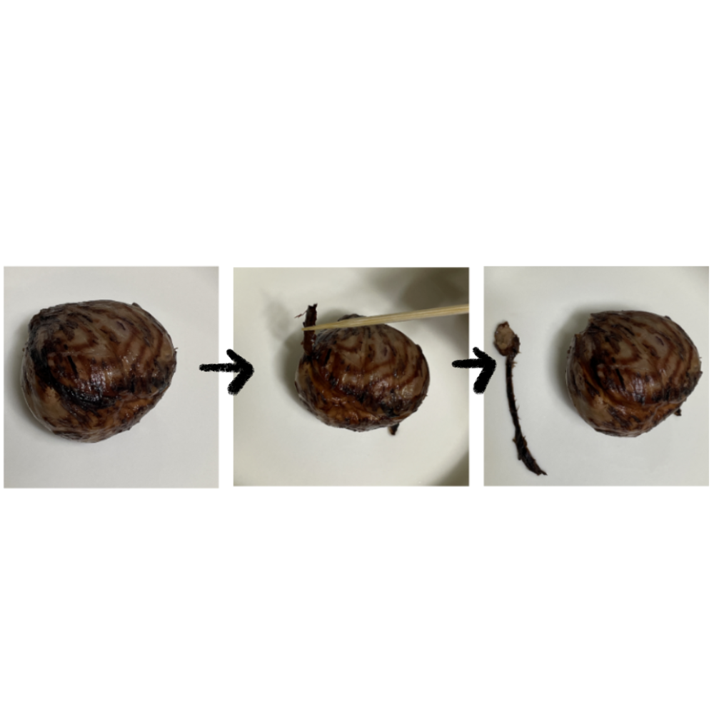 밤조림만들기