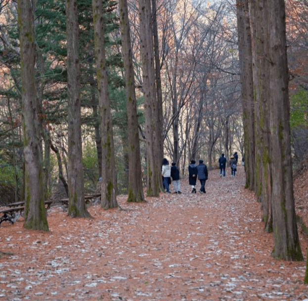 대전 상소동 산림욕장 자연체험과 휴양을 할 수 있는 추천여행지 ⓒ한군관광공사