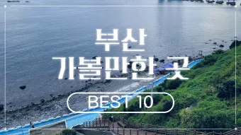 강원도 가볼만한곳 베스트10_16