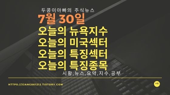  [21년 07월 30일]다우지수와 세계증시와 특징종목