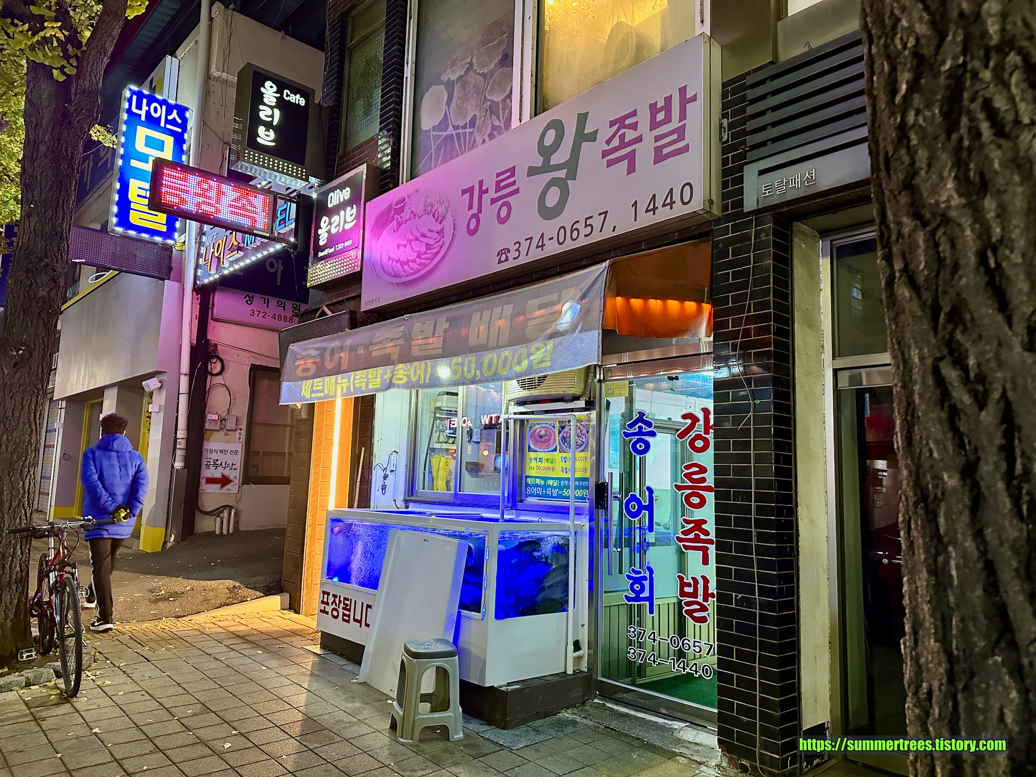 강릉왕족발송어회 이미지