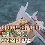 다이어트 치팅데이 뜻 하는 방법 음식 썸네일