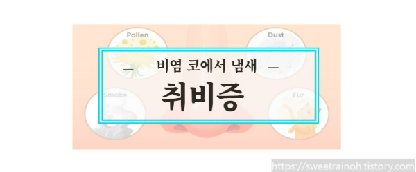 코-사진