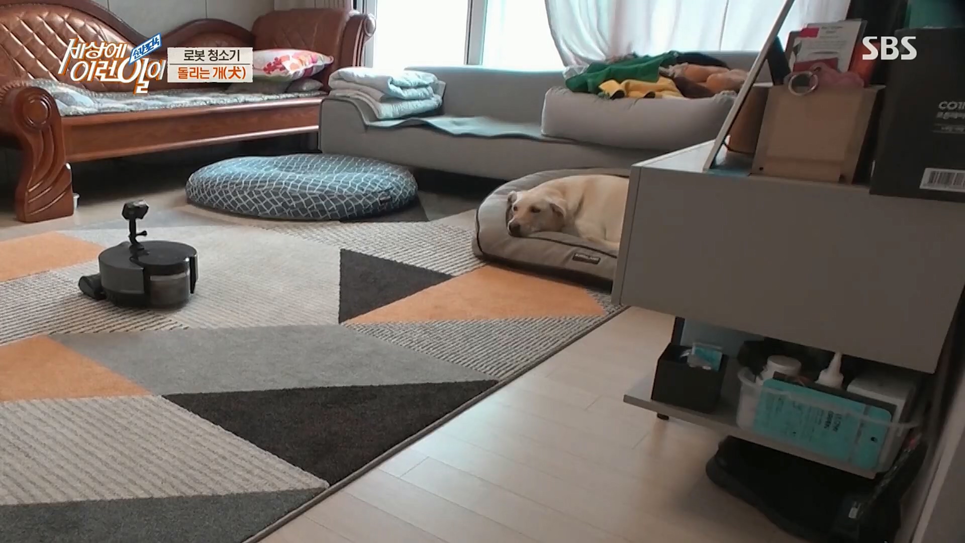 순간포착 세상에 이런일이.E1209.221213p.H264-F1RST.mp4_20221214_193202.037.jpg