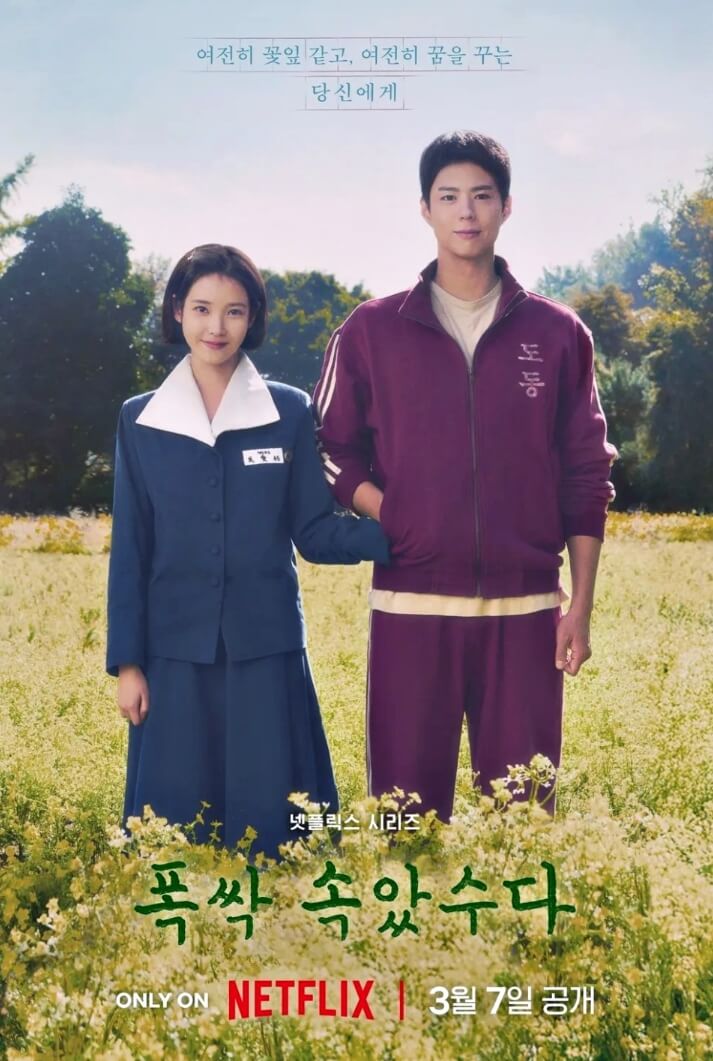폭싹 속았수다 관련 사진