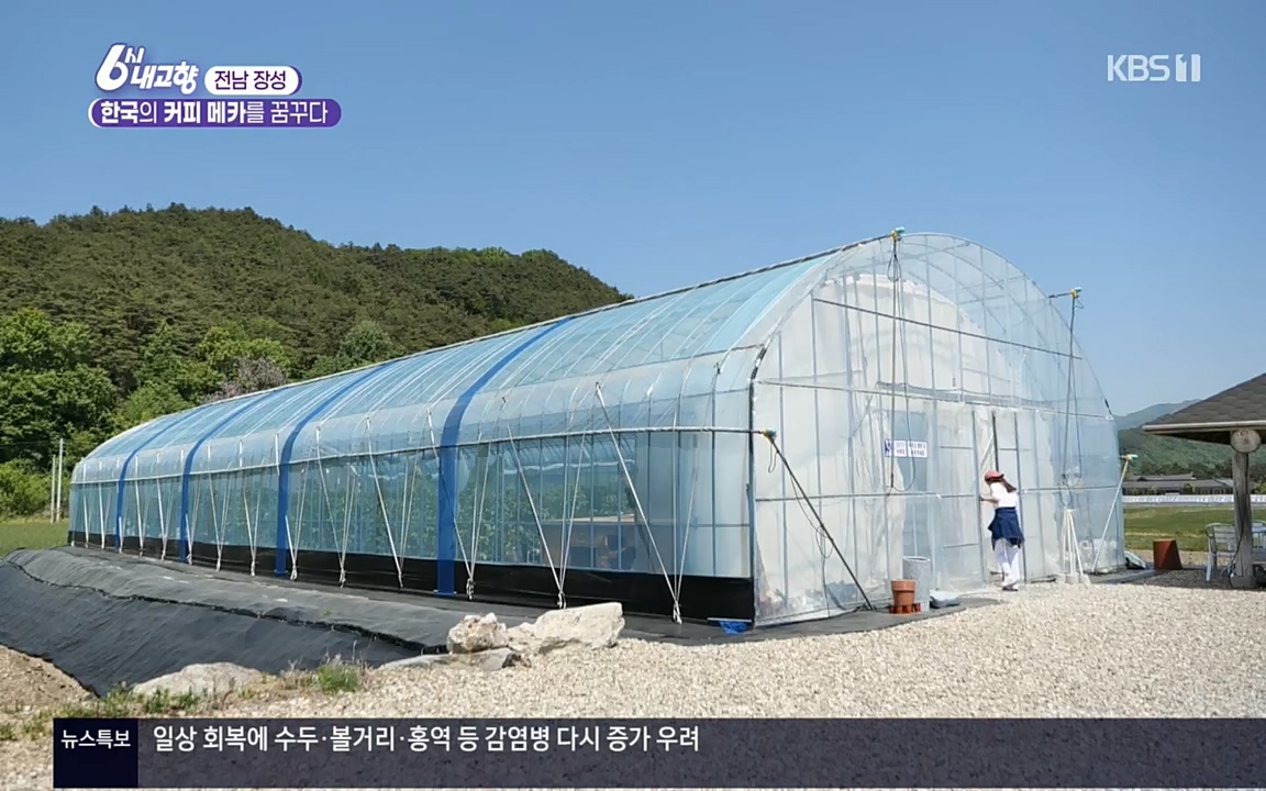 6시 내고향.E7530.220512p.H264-F1RST.mp4_20220516_191206.917.jpg