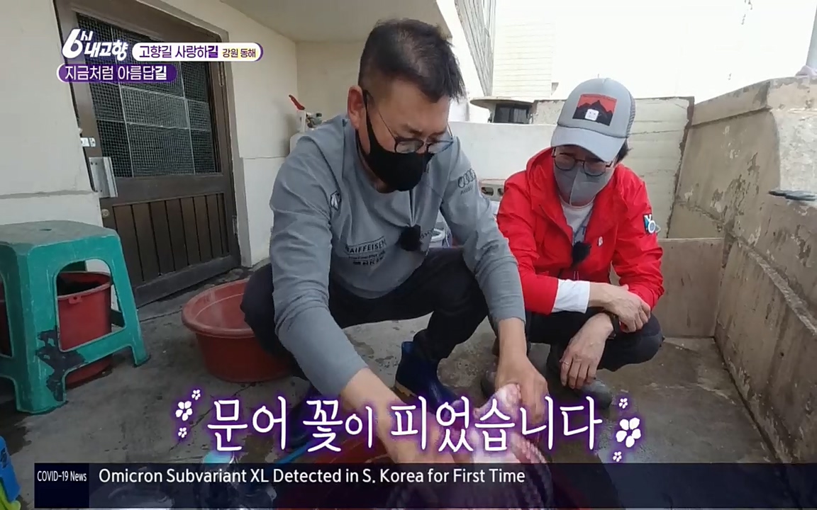 6시 내고향.E7512.220416p.H264-F1RST.mp4_20220502_192224.543.jpg