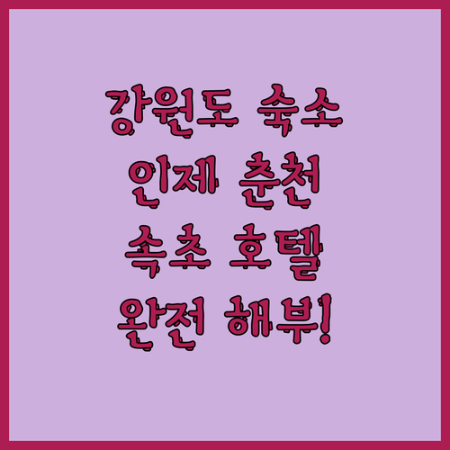 강원도 숙소 고민 끝! 인제 춘천 속