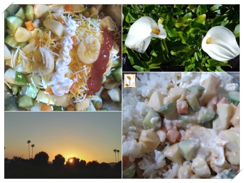 캘리포니아 4월-하늘-사라다밥-카라꽃
