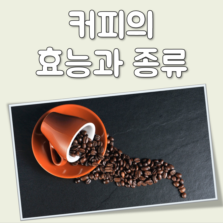 커피의 효능과 종류