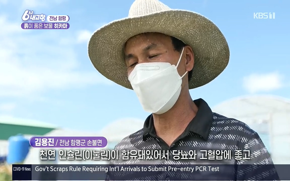 6시 내고향.E7617.220915p.H264-F1RST.mp4_20220916_204641.539.jpg