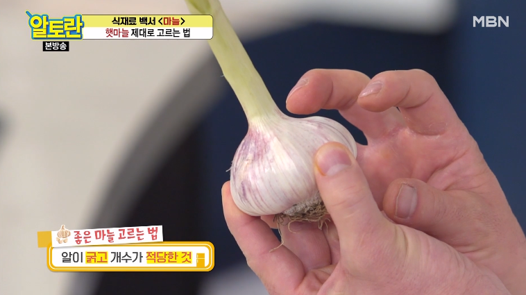 알토란 마늘장아찌 담그는 방법, 햇마늘로 알토란 마늘장아찌 담그는 방법, 햇마늘로