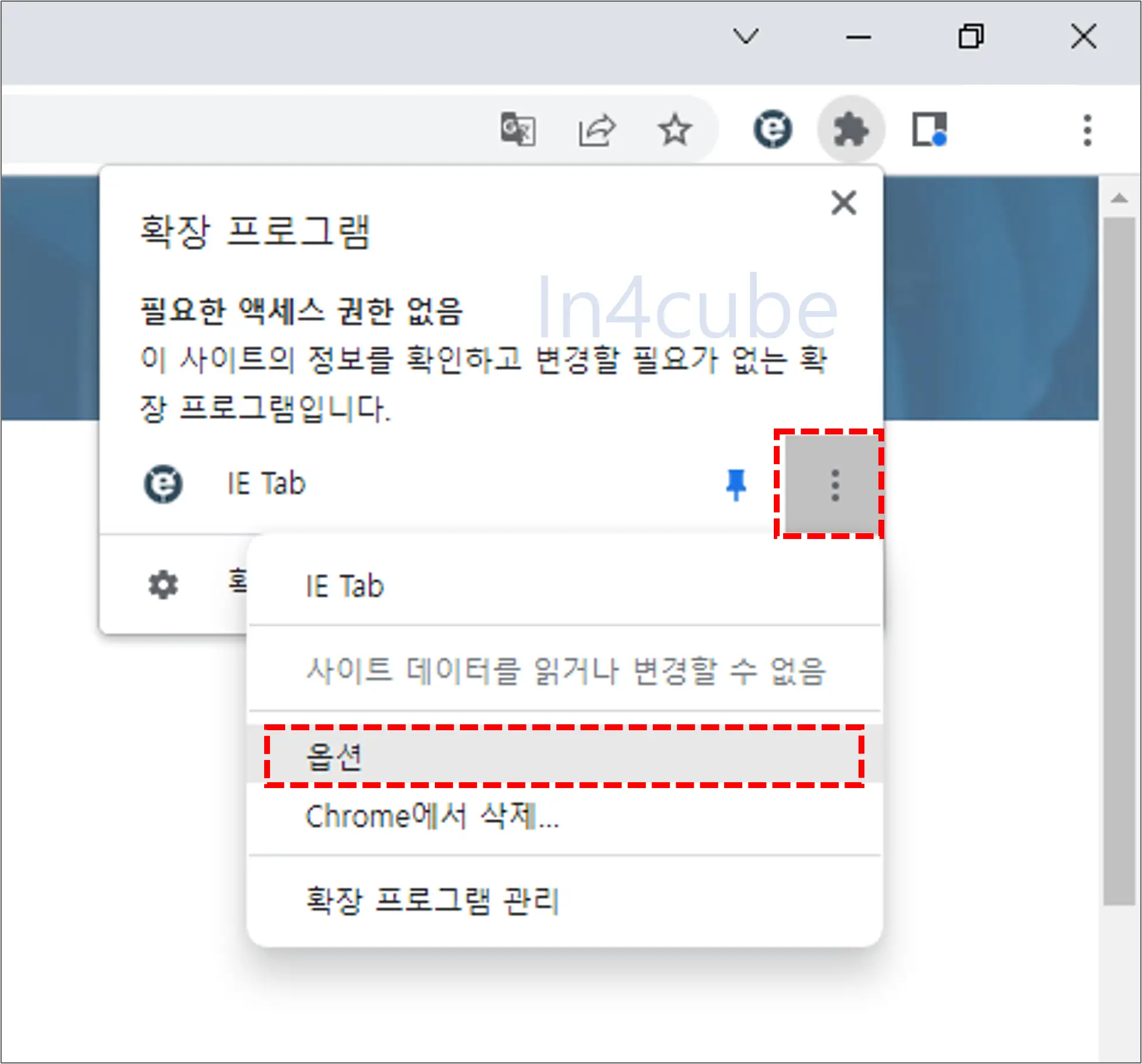 IE-Tab-옵션