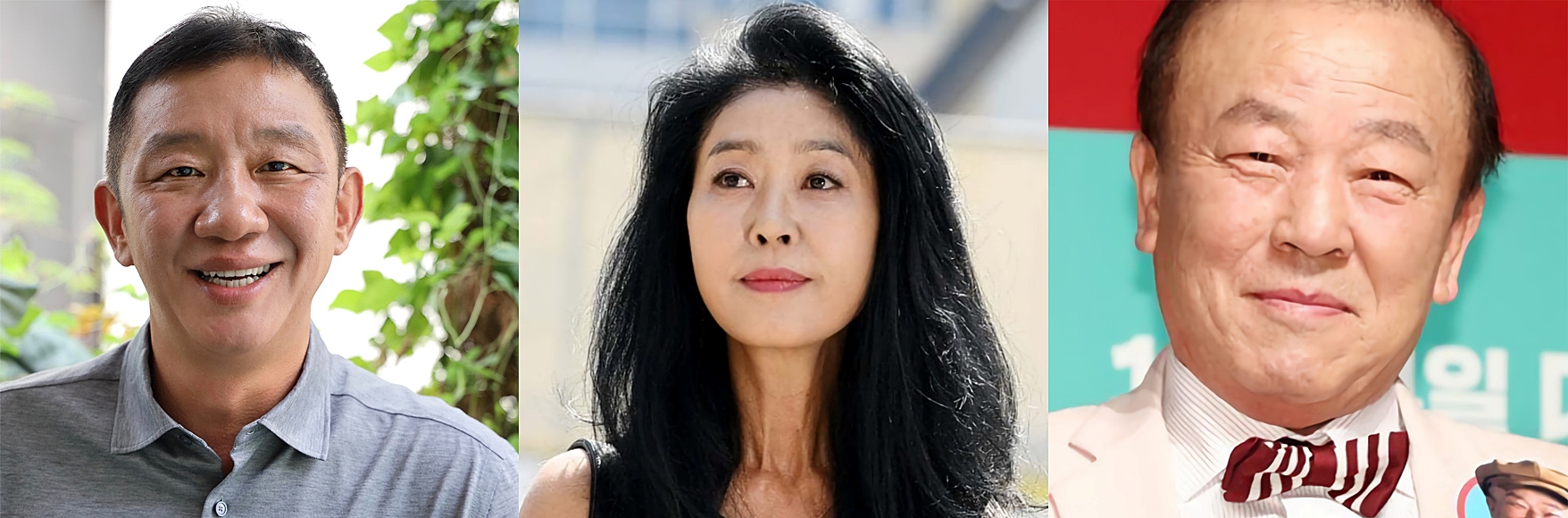  별 많이 단 연예인 전과 9범 김부선, 12범 용감한 형제들