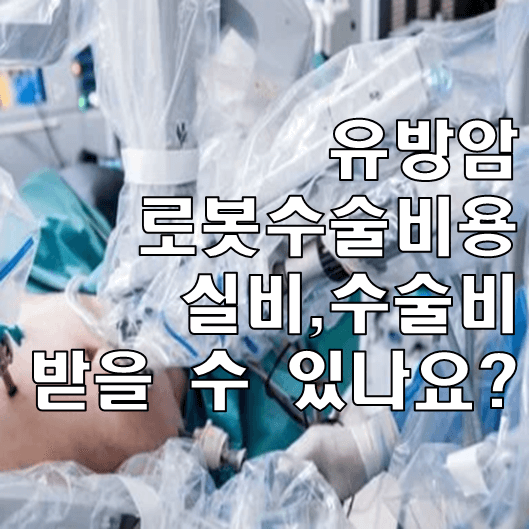 유방암 수술비용 실비시간에 대하여 11