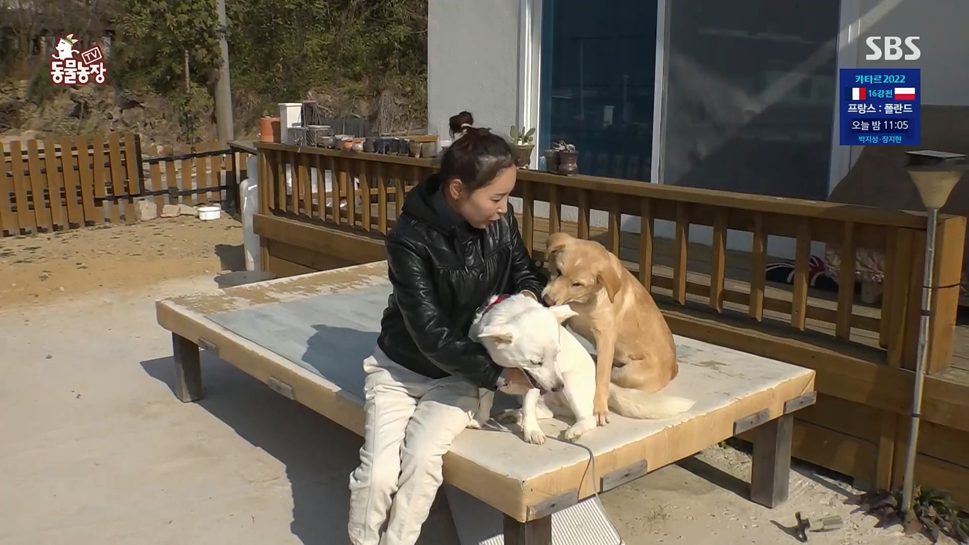 TV 동물농장.E1098.221204p.H264-F1RST.mp4_20221204_175358.225.jpg