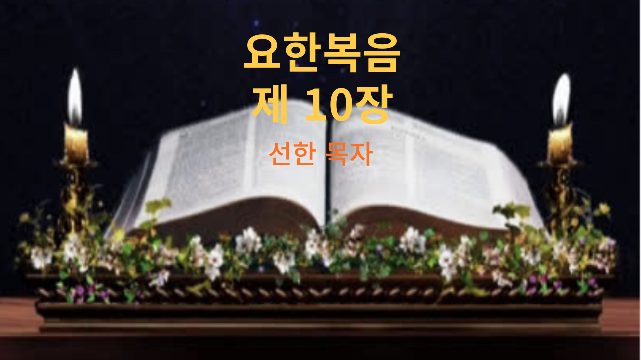 요한복음 제 10장 선한 목자