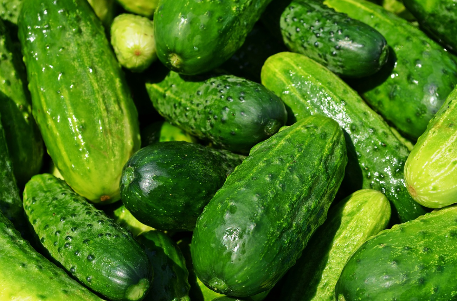  여름철 건강과 미용을 동시에! 다재다능한 오이의 특별한 효과