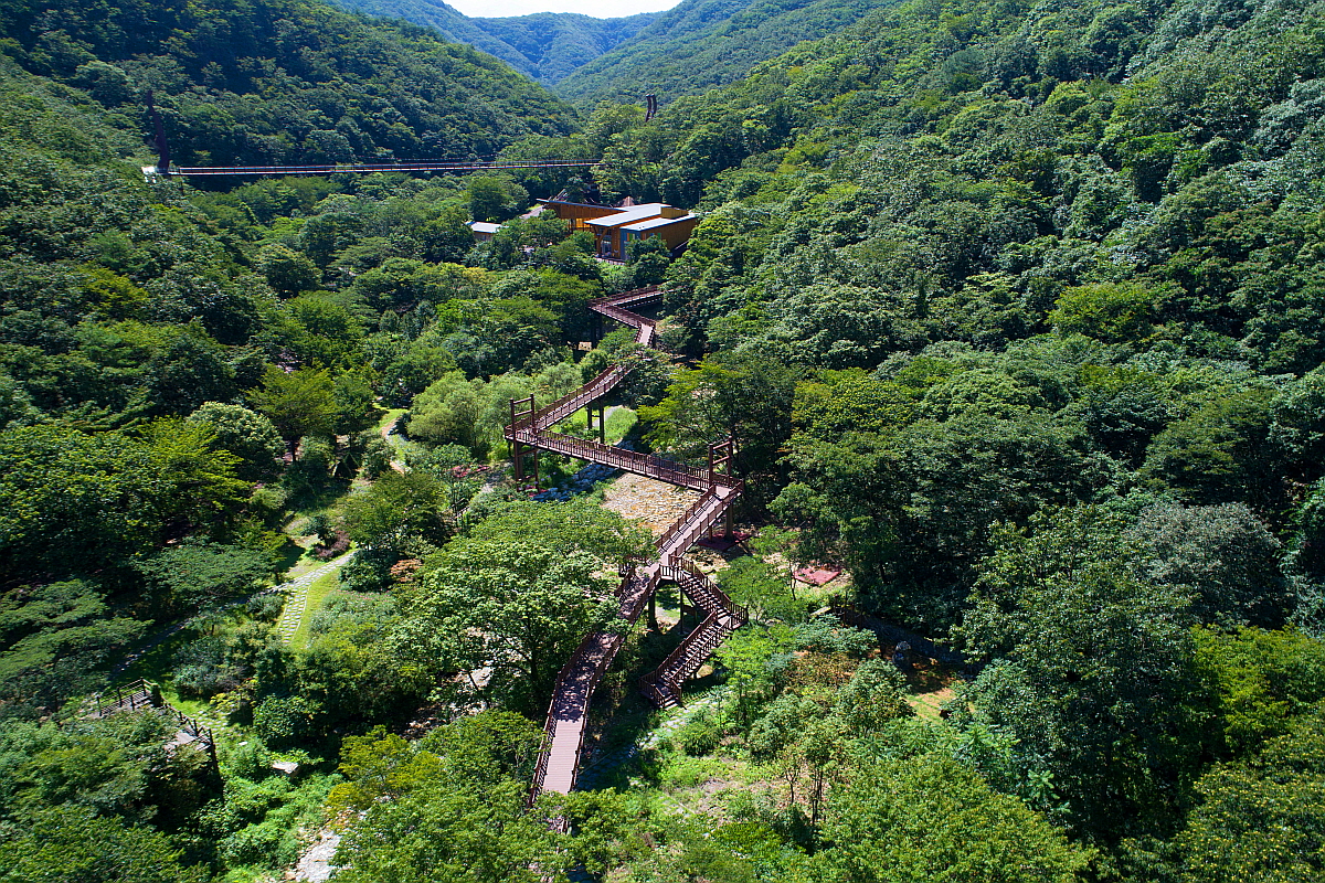 금산 산림문화타운