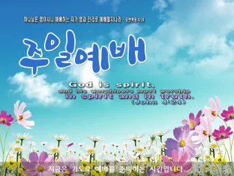 봄 주일예배 ppt 배경화면 꽃 이미지_19