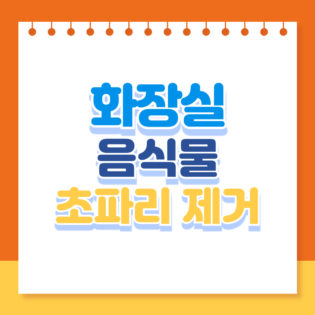 화장실 초파리 제거·음식물 초파리 퇴치법