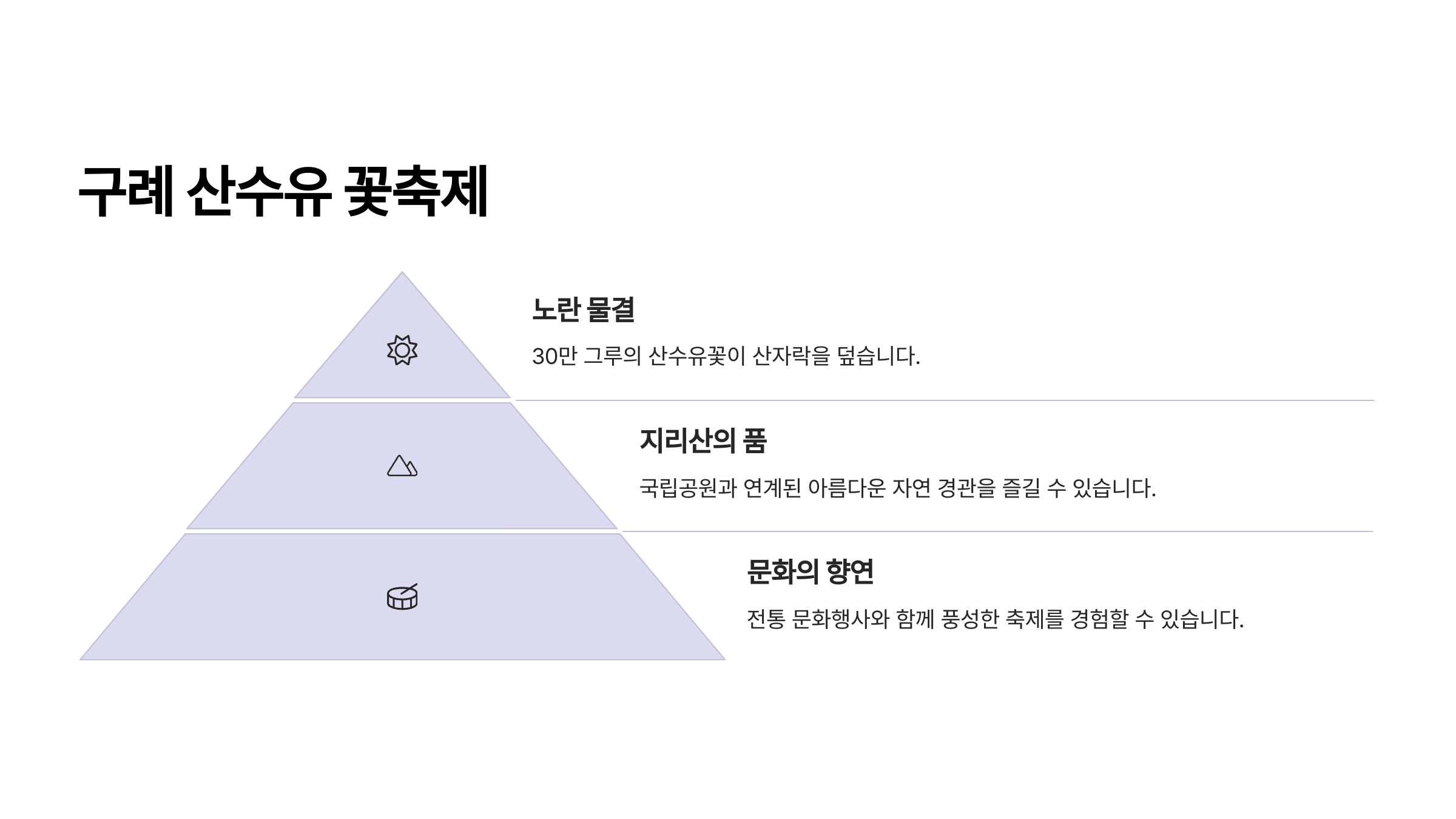 구례 산수유 꽃축제